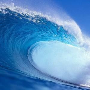 Meet your Posher, Dylan